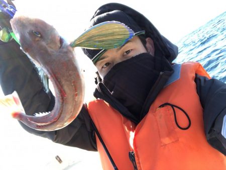 宇佐沖オフショア釣果