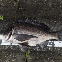 イチノ兄弟、釣果！