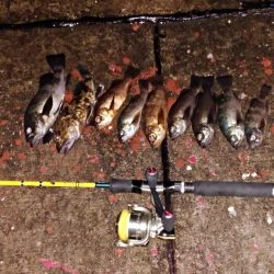 風が止んだら海洋調査