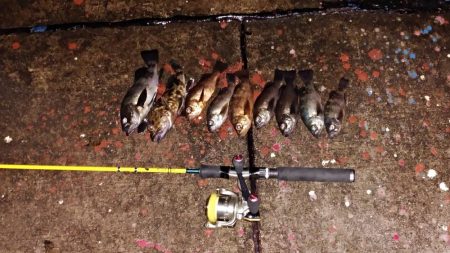 風が止んだら海洋調査