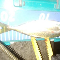 激シブアジング