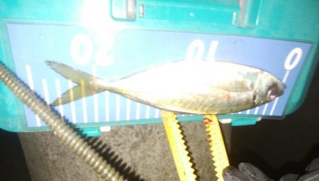 激シブアジング