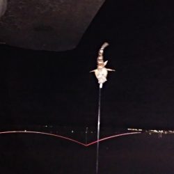 スローフィッシング