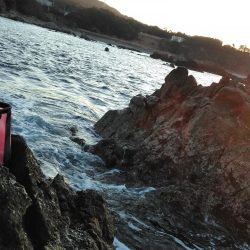 フカセが一番・・面白いです・・