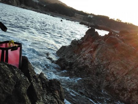 フカセが一番・・面白いです・・