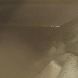 アジングだったけど