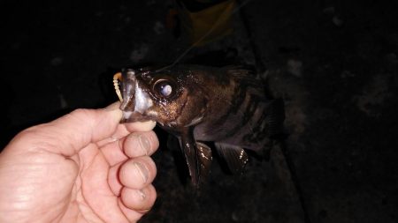 タフコンディション