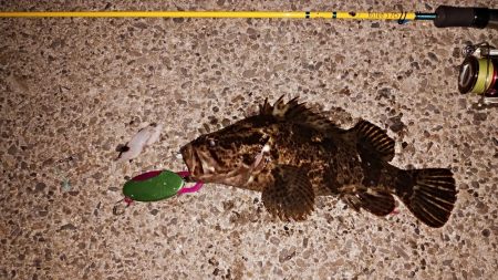 レアタケノコゲットだぜ