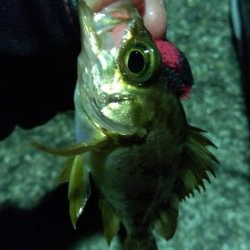 風も無く暖かそうなので