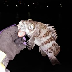 本日も修行なり