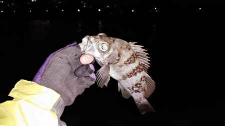 本日も修行なり