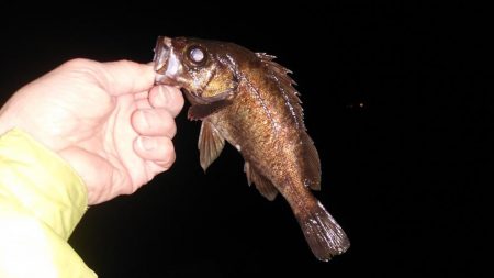 ベタ凪はしんどい