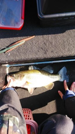 プリスポーン！