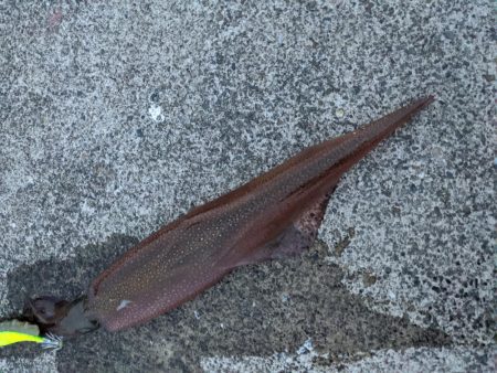 混雑の中小堤防で