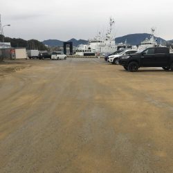 アジ16匹、尺アジ1匹