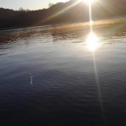 2シーズンぶりの釣果