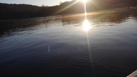 2シーズンぶりの釣果