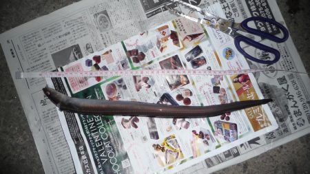 あなぁ～～～ご