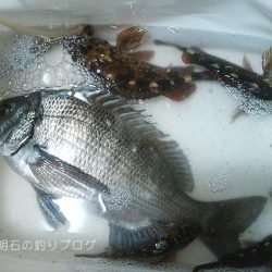 乗っ込みの気配