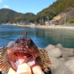 穴釣り