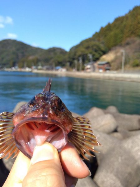 穴釣り