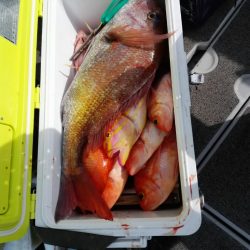 第二大福丸 釣果