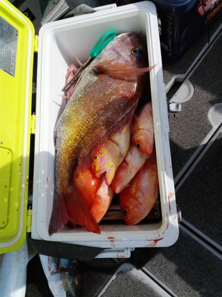 第二大福丸 釣果