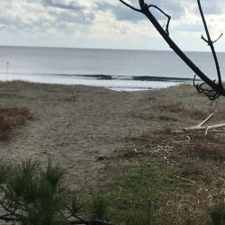 愛南町で冬のアオリイカをエギングでゲット