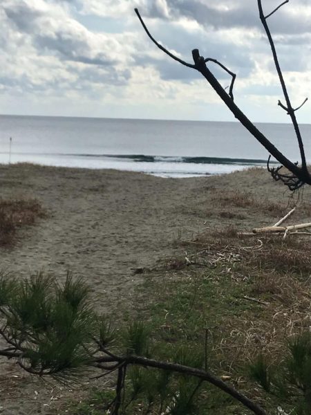 愛南町で冬のアオリイカをエギングでゲット