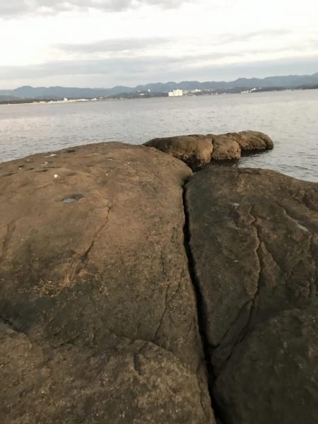 冬の和歌山南紀でエギング、アオリイカ釣果