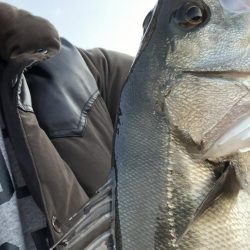 エビでハネを釣る