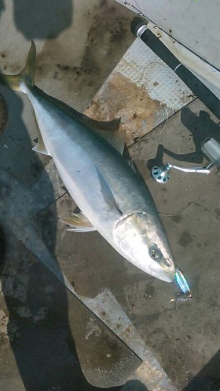 小型和船からのSLJ！ジャックアイグロッキ…