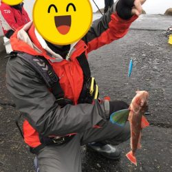 とってもカラフル！