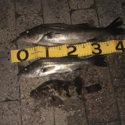 ダブルヘッダー