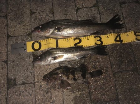 ダブルヘッダー