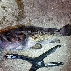 デイ~ナイトアジング。