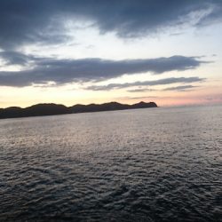 地磯でブリ狙い