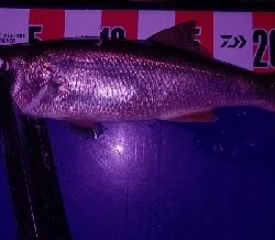 ライトゲームで初出来事!