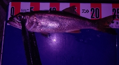 ライトゲームで初出来事!