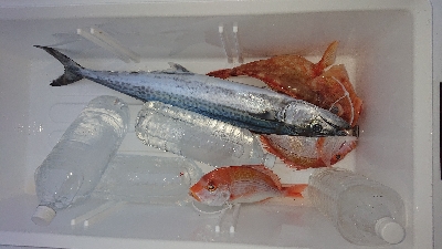 初心者様ご案内