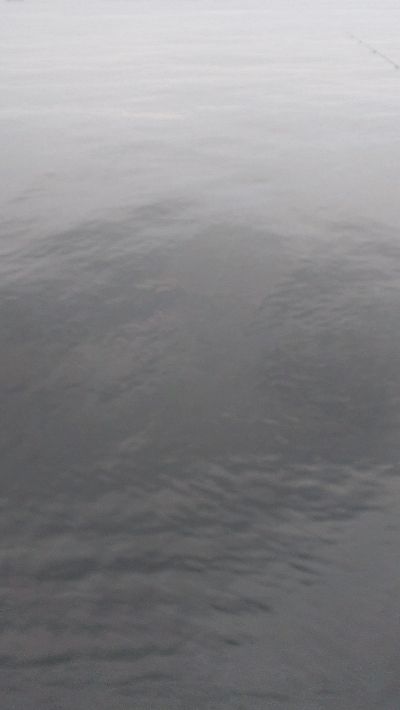 今年50オーバー３匹目