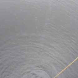 集中しないと！