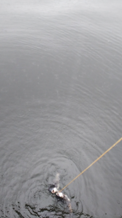 集中しないと！