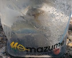 西大分の白灯台にて