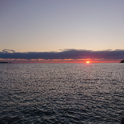 久しぶりの良型アオリイカに感動(；ω；)