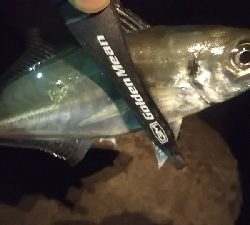 釣れない時期の釣り方