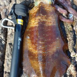 仕事で出張エキング