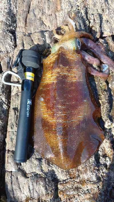 仕事で出張エキング