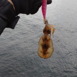 仕事終わりに爆風エキング