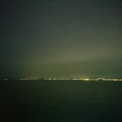 癒しのガッシー